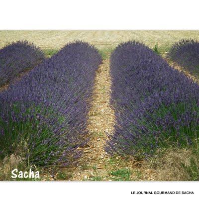 Le vin de noix    ;   Simiane -la- Rotonde  Haute Provence