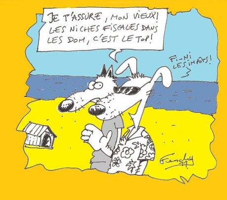 Outre-mer, les niches fiscales ne sont pas faites pour les chiens