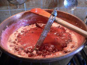 fraises et peinture 004