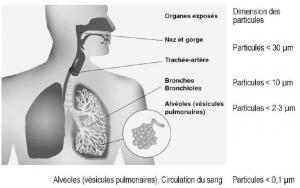 Le risque CARDIOVASCULAIRE lié à la pollution de l’air intérieur – Environmental Health Perspectives