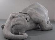 Tabish Khair, Apaiser poussière.