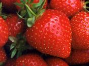 Rester bonne santé jeune avec fraise