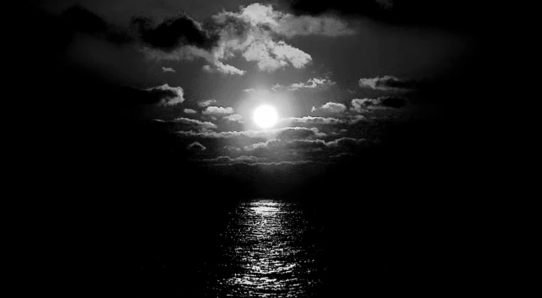 Apparat - Black Water
It’s just time of …
♥  Love ♥