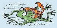 grenouille_et_scorpion.jpg