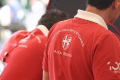 alfa romeo,goodwood festival