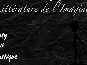 Bilan Swap Littérature l'Imaginaire