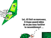 Primaires verts dernière ligne droite