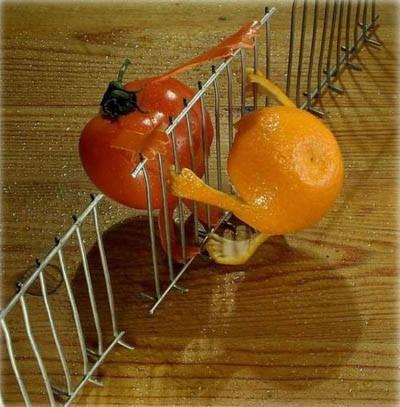 orange-tomate.jpg