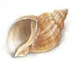 écriture,poésie,poèmes,poètes,vacances,société