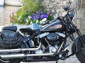 Harley-Davidson CROSS BONES