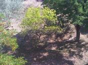 Vente T2/3 Timone Immeuble Standing