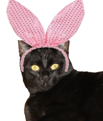 Scaramouche bunny_thumb[1]