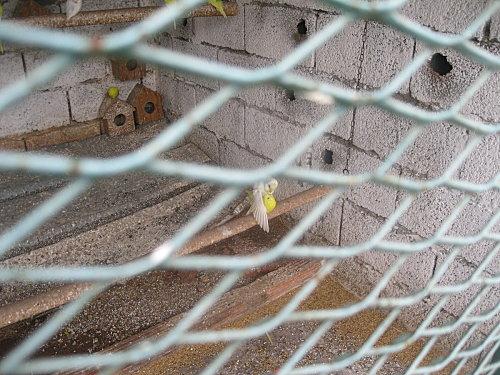 plats-des-sorties 1714