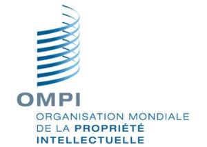 Nouvelle rubrique : les décisions de l’OMPI rendues dans le cadre de la procédure UDRP