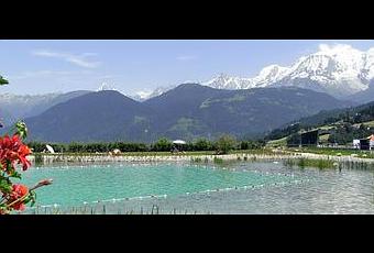 Piscine Naturelle Lexemple De Combloux En Savoie Paperblog