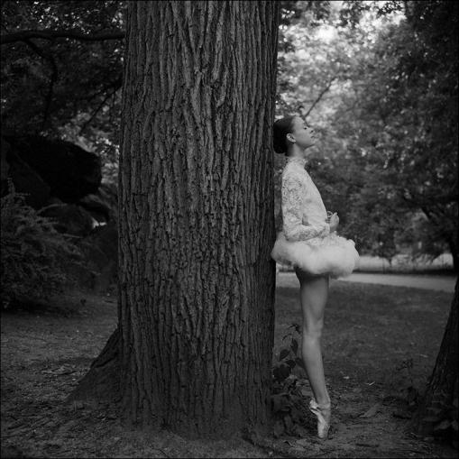 the ballerina project