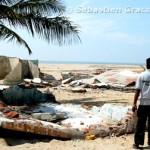 Tsunami, aide urgente et réhabilitation, Association VCDS (Madras, Inde)