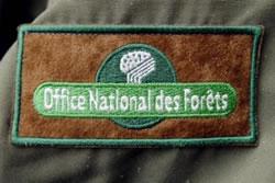 Office National des For^ts: Image Liberation.fr du 12/07/2011