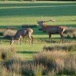 101010-parc-ste-croix-021