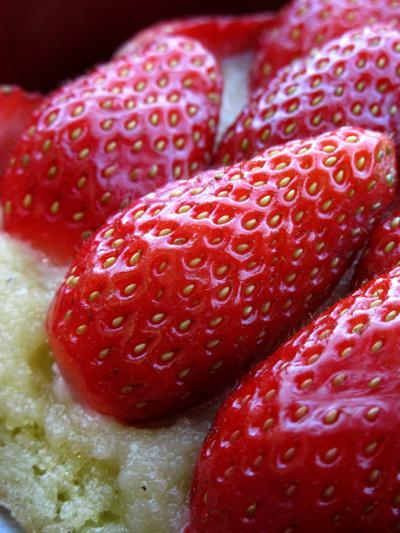 un gâteau suédois : Nationalbakelse un gâteau suédois : Nationalbakelse