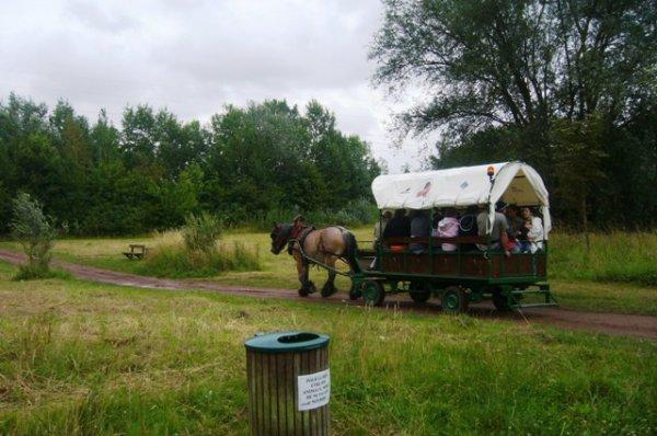 Wild Weppes West in Lomme on the 14th July