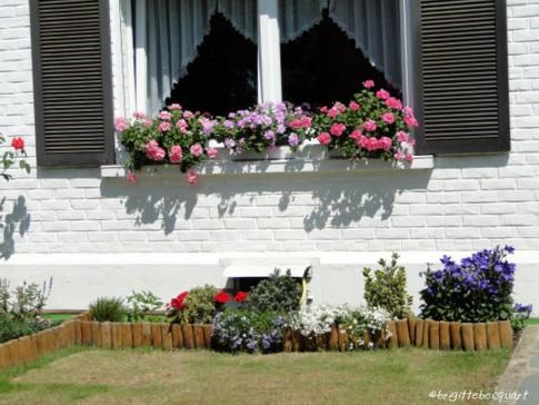 Le Concours des balcons fleuris du quartier Vauban-Esquermes.