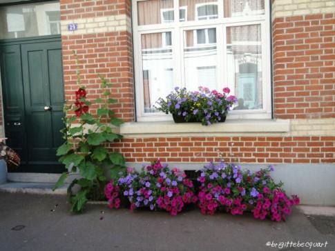 Le Concours des balcons fleuris du quartier Vauban-Esquermes.