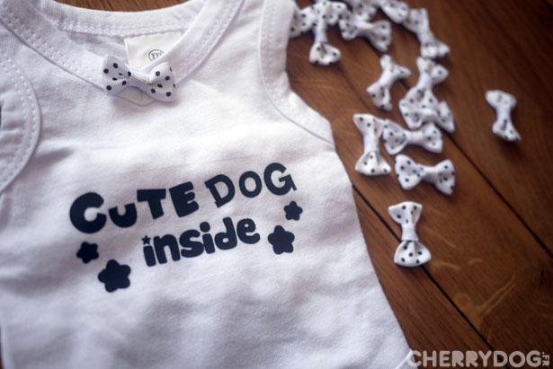 Les nouvelles collections 2011/2012 pour chiens vont débarquer !