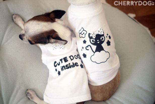 Les nouvelles collections 2011/2012 pour chiens vont débarquer !