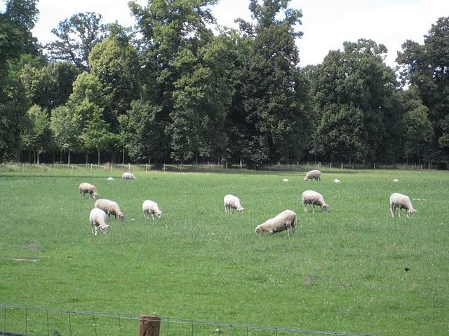 De Venise à Versailles
