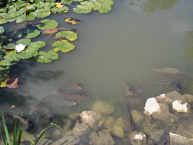 De Venise à Versailles