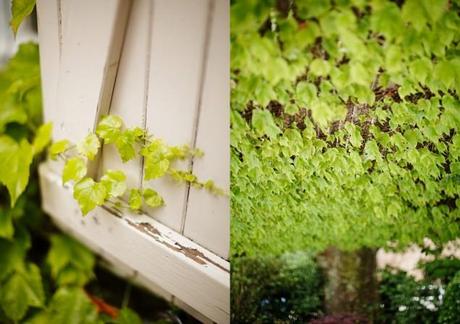 Maria & Stéphane {Real Wedding}