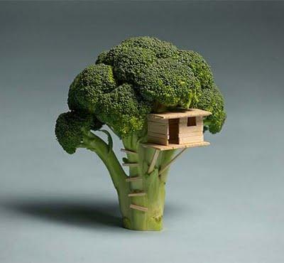 Vous aimez le brocoli ?......
