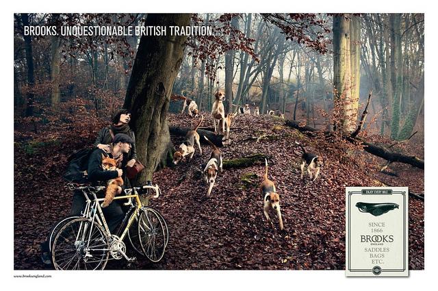 fox-image_News-Letter