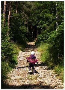 En chemin vers la cascade