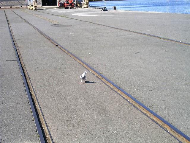 samedi c'est braderie complet