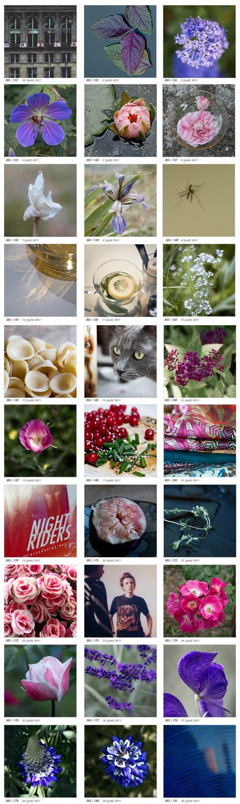 Projet 365-juin