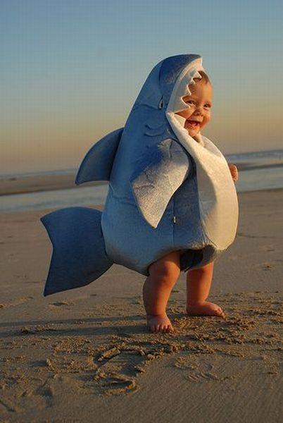 bebe-requin