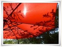 La photo du dimanche #3