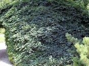 Paris autre tortueux