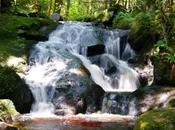 Cascade effets d’ouverture