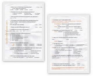 Mon humble bilan du festival des arts de la rue de Bernay juillet 2011...