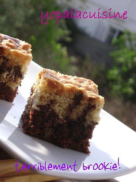 Diapositive2-copie-4