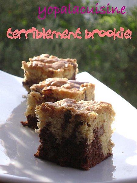 Diapositive3-copie-3