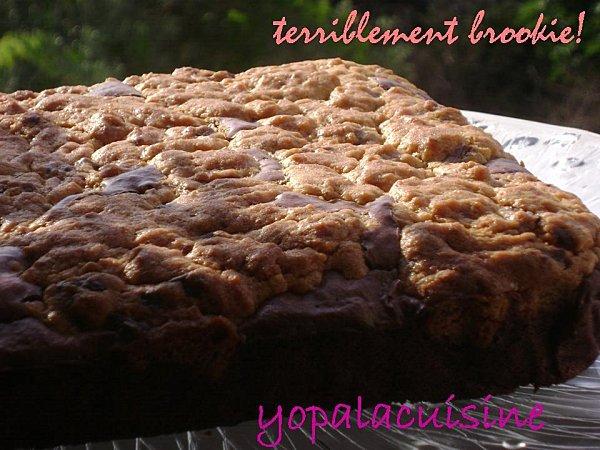 Diapositive1-copie-4