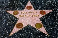 hollywood-walk-of-fame-star.jpg