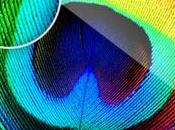 iPad Apple testerait écrans haute définition