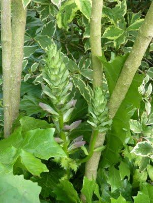 Difficile de profiter du jardin en ce moment...C'est plui...