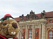 Marmotte Potsdam