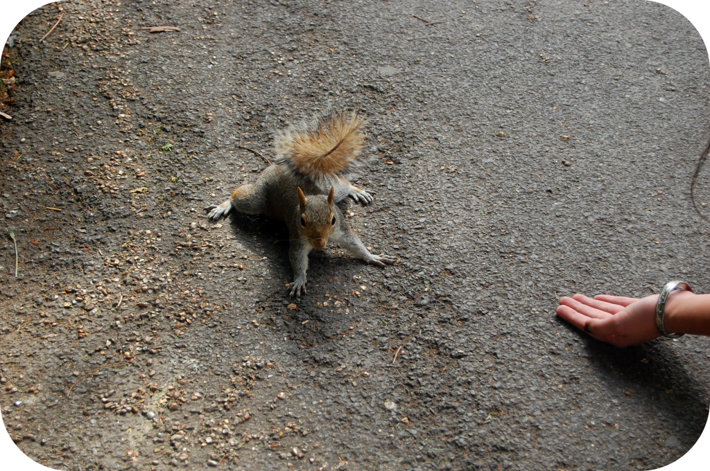 ♕Un Week～End à Londres♕